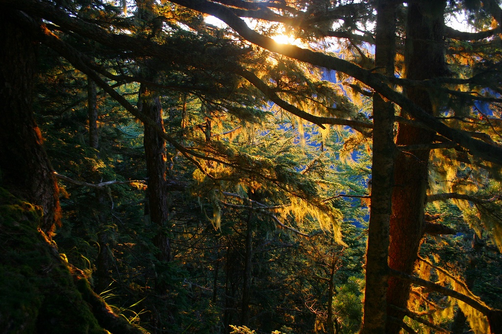 c0008948_110595.jpg