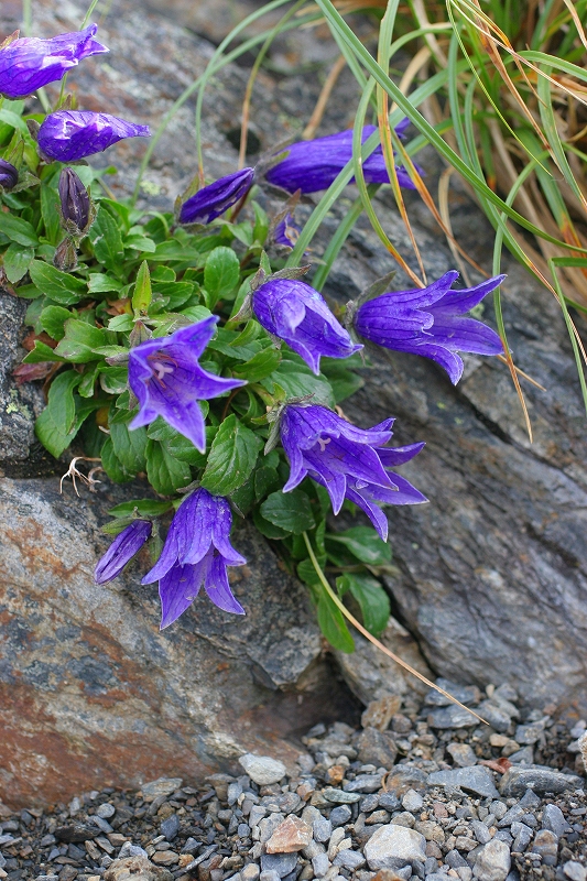 c0008948_6515194.jpg