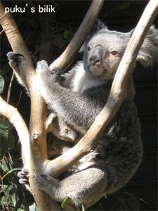 f0015072_11135038.gif