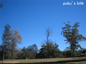f0015072_11183748.gif