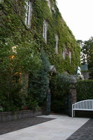 a0067990_2244046.jpg
