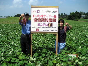 ８月中旬の紅こがねの成長について　２００６年８月２１日更新_b0076710_13562520.jpg