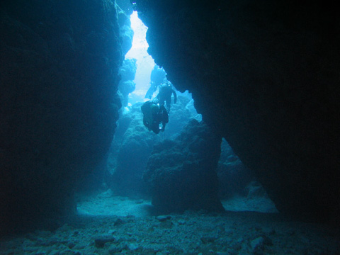 e0089826_1394471.jpg
