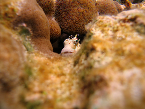 e0089826_1401761.jpg