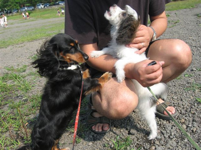 f0002532_038128.jpg
