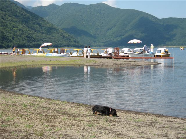 f0002532_0565528.jpg