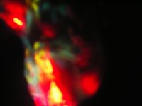 a0050838_2051279.jpg
