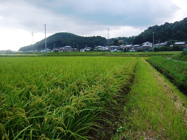 背水の陣（前編）_e0093742_014769.jpg