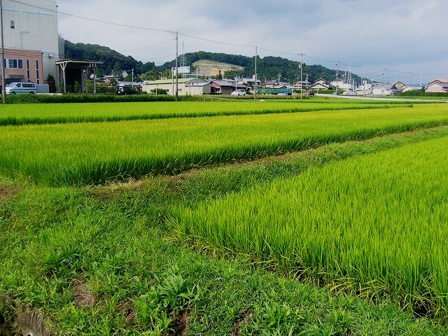 背水の陣（前編）_e0093742_031854.jpg