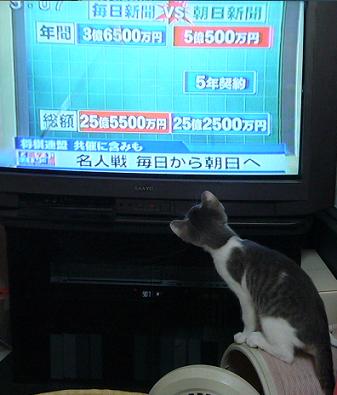 スポーツの な、夏?_f0002743_19483463.jpg
