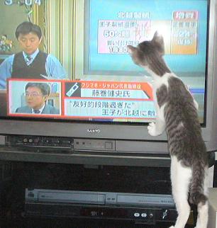 スポーツの な、夏?_f0002743_19501126.jpg