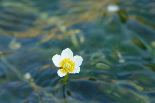 b0088444_2371485.jpg
