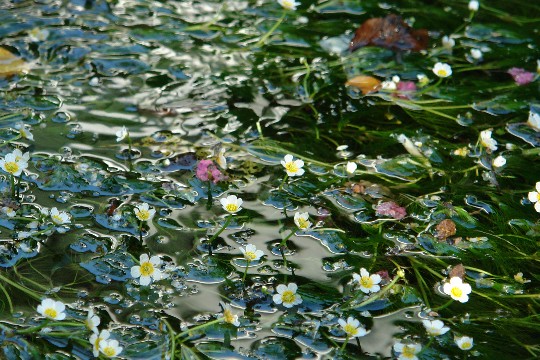 b0088444_2382334.jpg