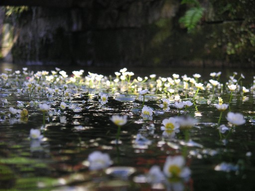 b0088444_2392894.jpg