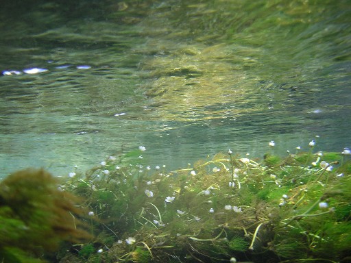 b0088444_2395479.jpg