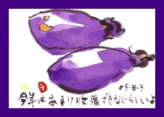 去年の茄子_e0074955_16213493.jpg