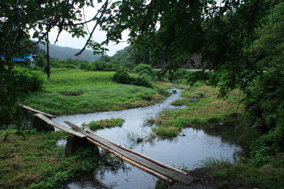 橋_e0067463_725950.jpg