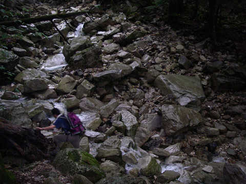 c0002874_12425297.jpg