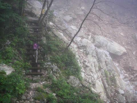 c0002874_12485159.jpg