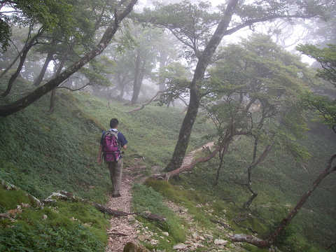 c0002874_12525635.jpg
