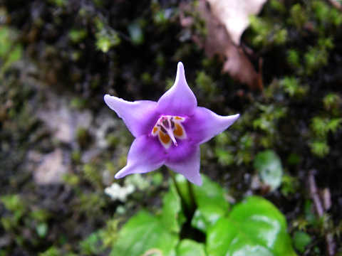c0002874_22193818.jpg