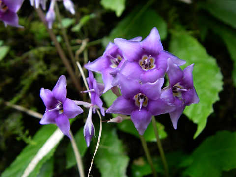 c0002874_2220465.jpg