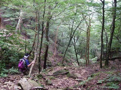 c0002874_2251375.jpg