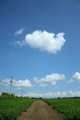 北海道民の夢を乗せて_d0012285_0495216.jpg