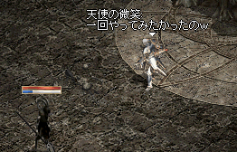b0052295_1374428.gif