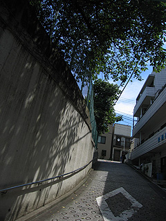 e0089826_144928.jpg