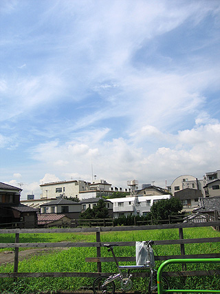 e0089826_15571.jpg