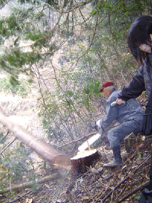 d0082040_20512072.gif