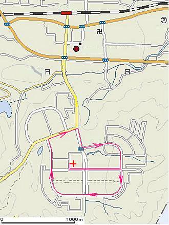 日本滞在記ー１５　散歩道（３）　自転車走行_e0026744_153218.jpg