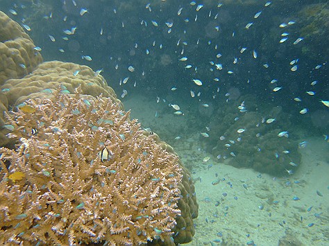 c0022748_2091675.jpg