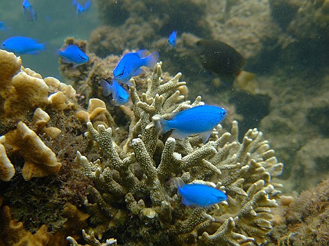 c0022748_2095146.jpg