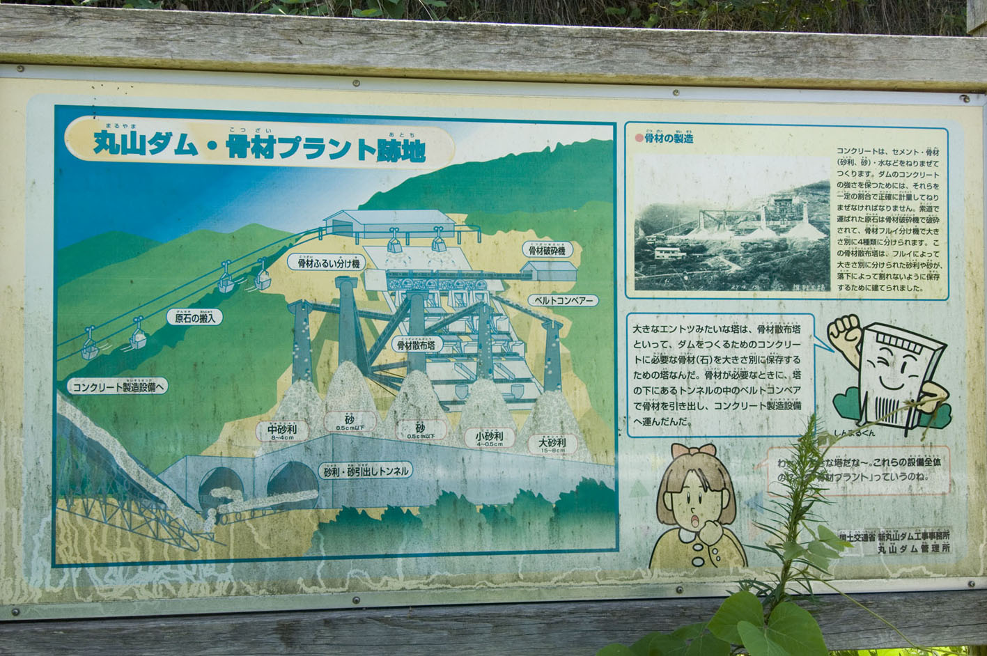 f0077849_182995.jpg