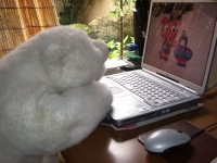 「私はどうするのがいいんでしょう?」「わかりません」_d0065558_15345293.jpg