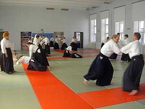ヘルシンキ大学合気道部 「生徒会」_f0019563_12231866.jpg