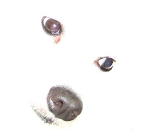 e0045768_2146445.jpg