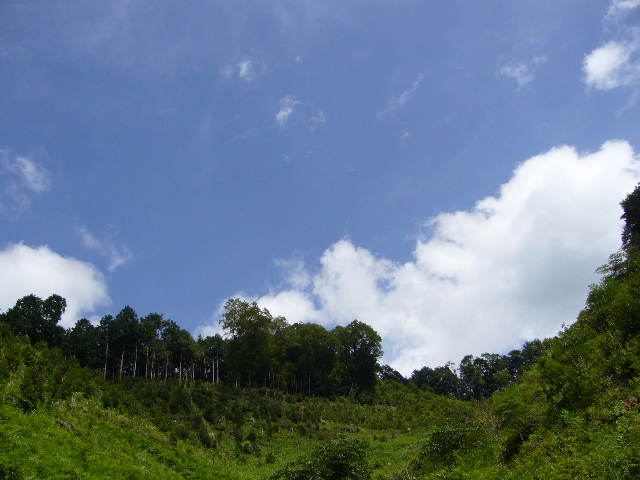 e0032609_1414890.jpg