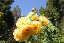c0048023_10435743.jpg