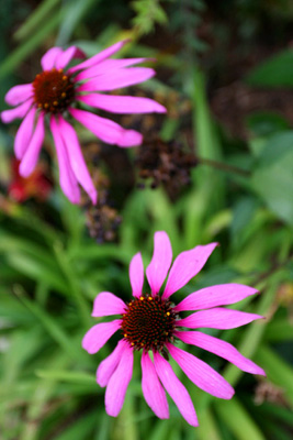 f0045624_20134793.jpg