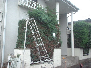 f0031037_1784244.jpg