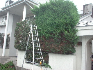 f0031037_179975.jpg