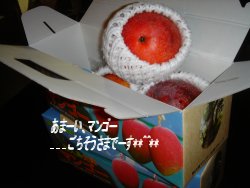 c0072847_21341162.jpg