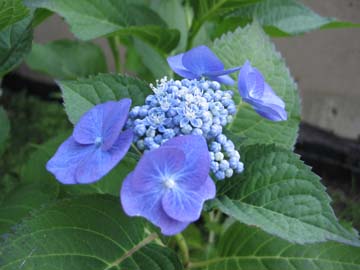 e0076349_15553835.jpg