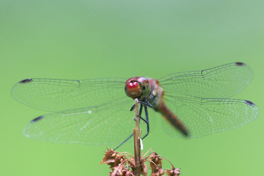 d0042959_23441377.jpg