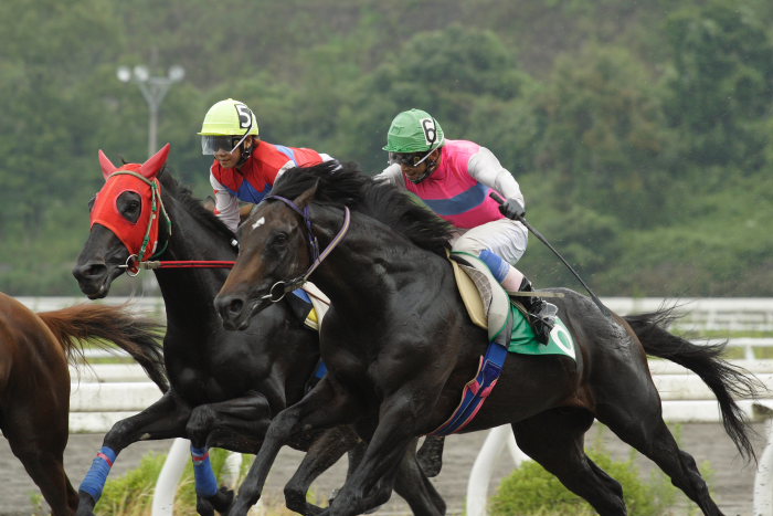 堅田雅仁騎手 2006年8月19日（土） 高知競馬_a0077663_19474491.jpg