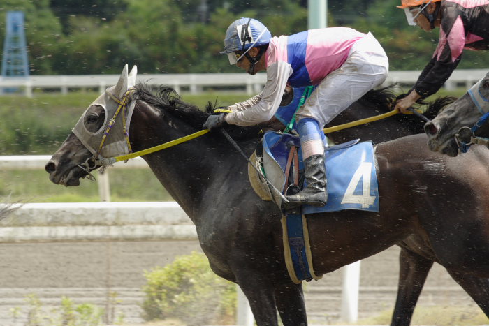 堅田雅仁騎手 2006年8月20日（日） 高知競馬_a0077663_20135296.jpg