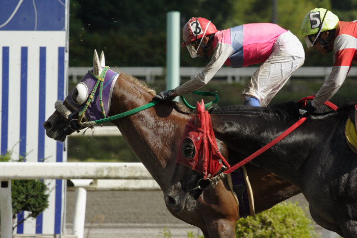 堅田雅仁騎手 2006年8月20日（日） 高知競馬_a0077663_20232712.jpg